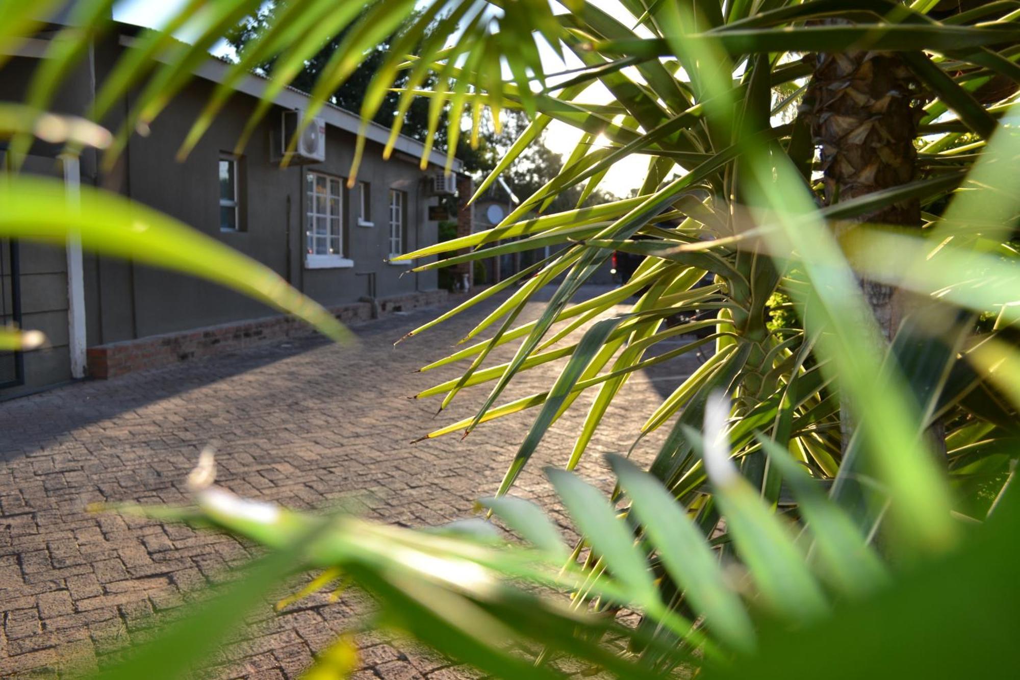 Travel North Guesthouse Tsumeb Dış mekan fotoğraf